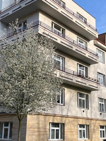 Apartma V Srdci Podebrad 波杰布拉迪 外观 照片